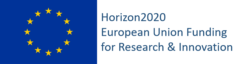 EU Logo